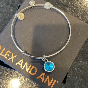 Alex and Ani Turquoise charm bracelet